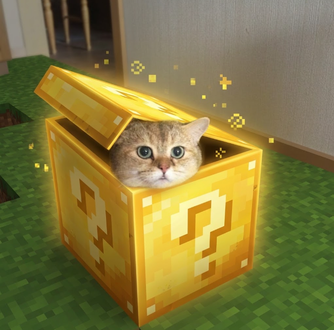 Boxedcat meme